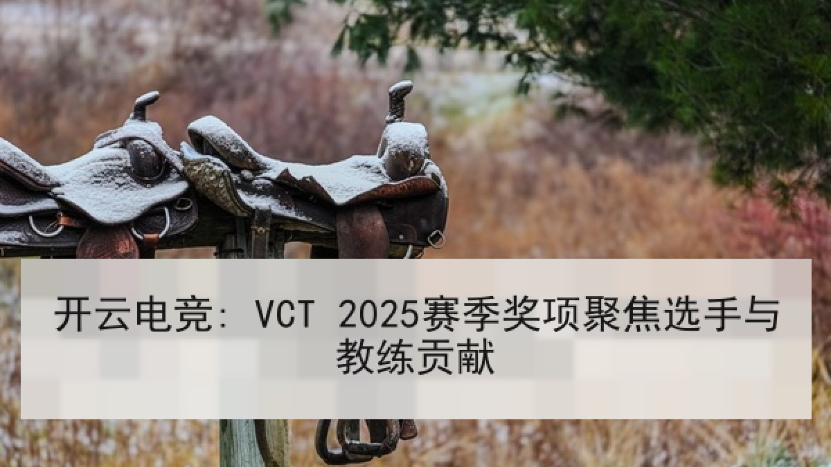 开云电竞: VCT 2025赛季奖项聚焦选手与教练贡献