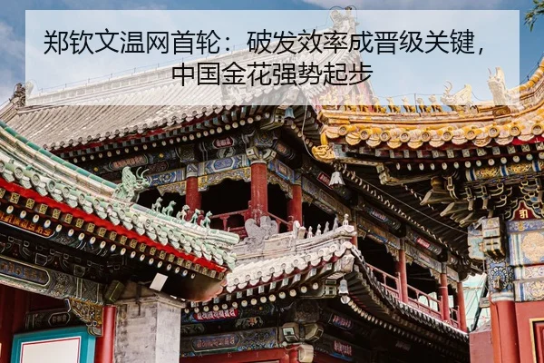 zheng-qin-wen-wen-wang-shou-lun-po-fa-xiao-lv-cheng-jin-ji-guan-jian-zhong-guo-jin-hua-qiang-shi-qi-bu-3-947.jpg