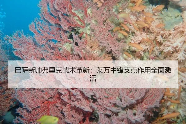 巴萨新帅弗里克战术革新：莱万中锋支点作用全面激活