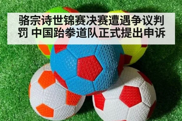 骆宗诗世锦赛决赛遭遇争议判罚 中国跆拳道队正式提出申诉