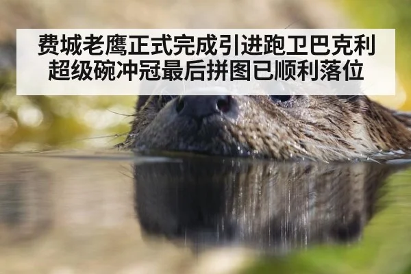 费城老鹰正式完成引进跑卫巴克利 超级碗冲冠最后拼图已顺利落位